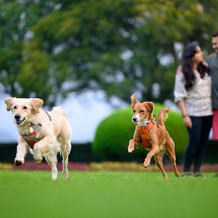 Nature Trails Sajan, Vikramgad Kudan Ngoại thất bức ảnh