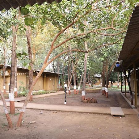 Nature Trails Sajan, Vikramgad Kudan Ngoại thất bức ảnh