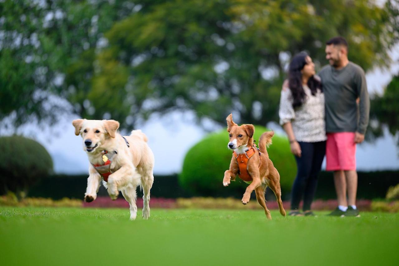 Nature Trails Sajan, Vikramgad Kudan Ngoại thất bức ảnh