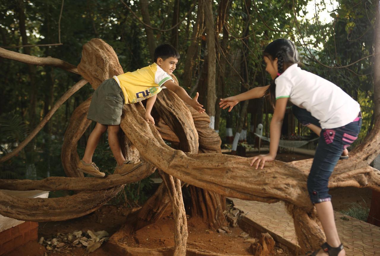 Nature Trails Sajan, Vikramgad Kudan Ngoại thất bức ảnh